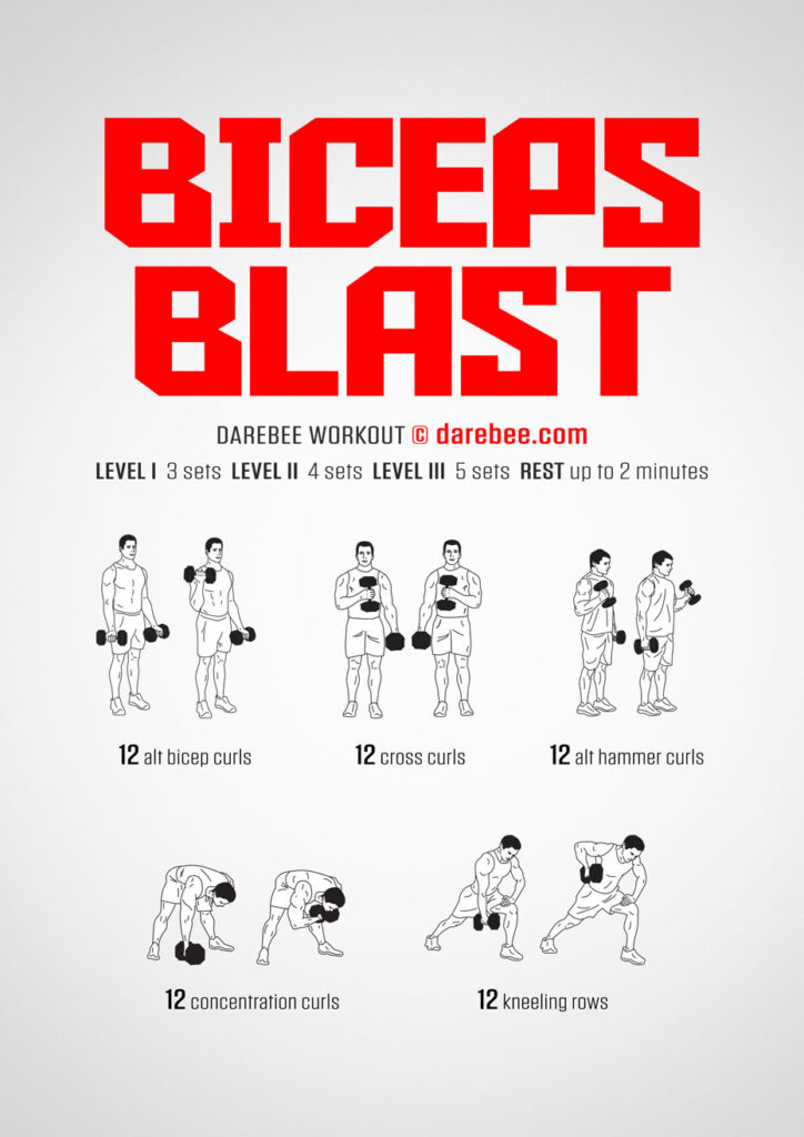 Dumbell Bicep Workout